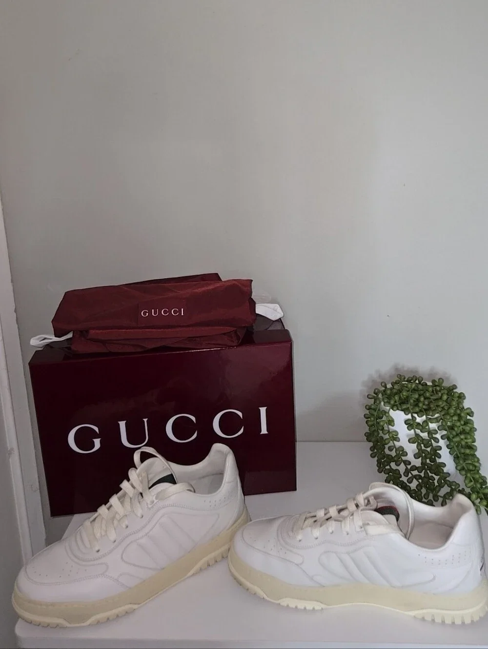 Gucci White Leather Sneakers with Burgundy Box and Dust Bag